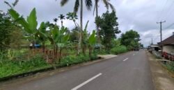 Dijual tanah kebun ketinggian