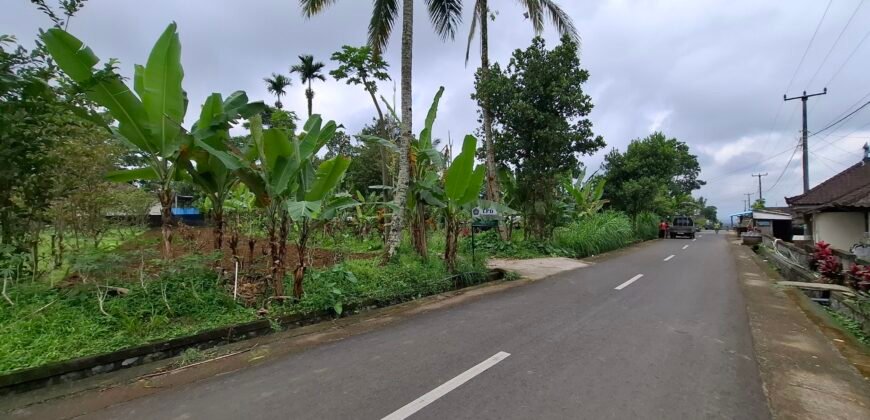 Dijual tanah kebun ketinggian