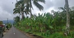 Dijual tanah kebun ketinggian