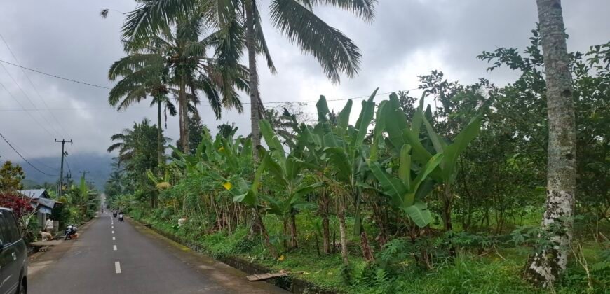 Dijual tanah kebun ketinggian