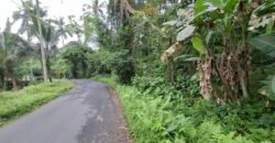 Dijual tanah kebun luasan kecil los sungai di penebel