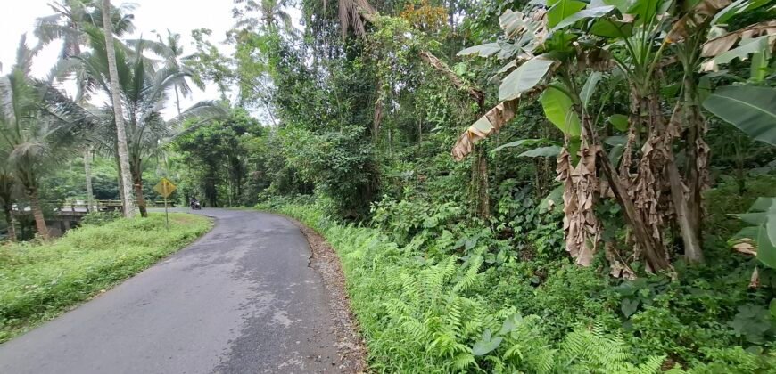 Dijual tanah kebun luasan kecil los sungai di penebel