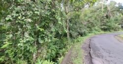 Dijual tanah kebun luasan kecil los sungai di penebel