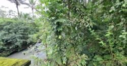 Dijual tanah kebun luasan kecil los sungai di penebel
