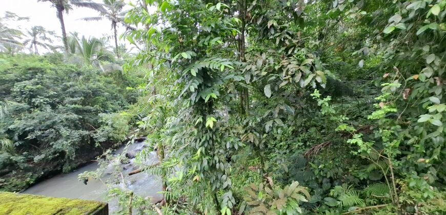 Dijual tanah kebun luasan kecil los sungai di penebel