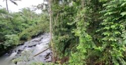 Dijual tanah kebun luasan kecil los sungai di penebel