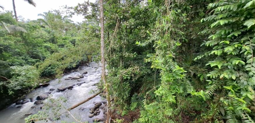 Dijual tanah kebun luasan kecil los sungai di penebel