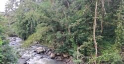 Dijual tanah kebun luasan kecil los sungai di penebel