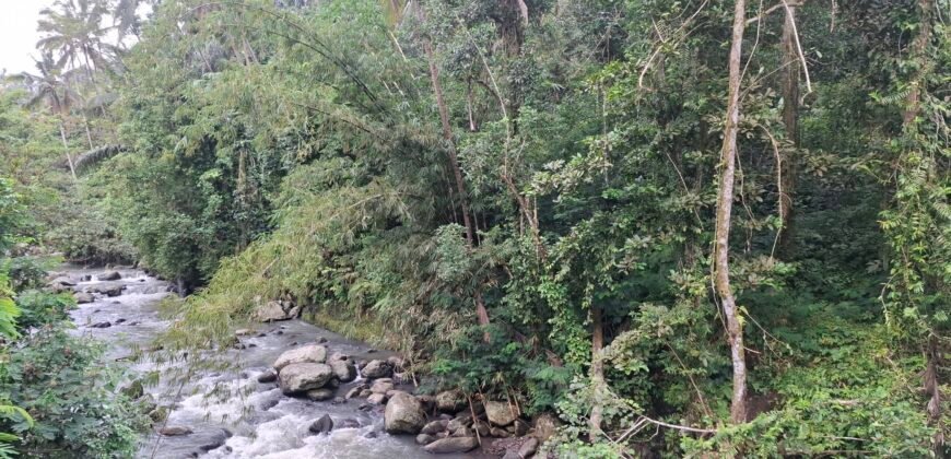 Dijual tanah kebun luasan kecil los sungai di penebel