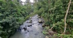 Dijual tanah kebun luasan kecil los sungai di penebel