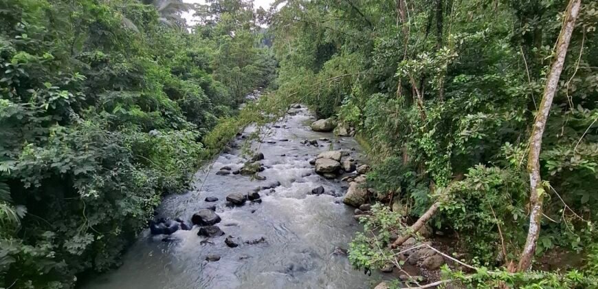 Dijual tanah kebun luasan kecil los sungai di penebel