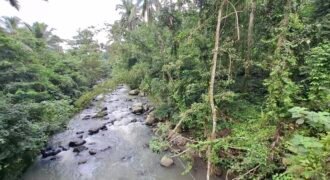 Dijual tanah kebun luasan kecil los sungai di penebel