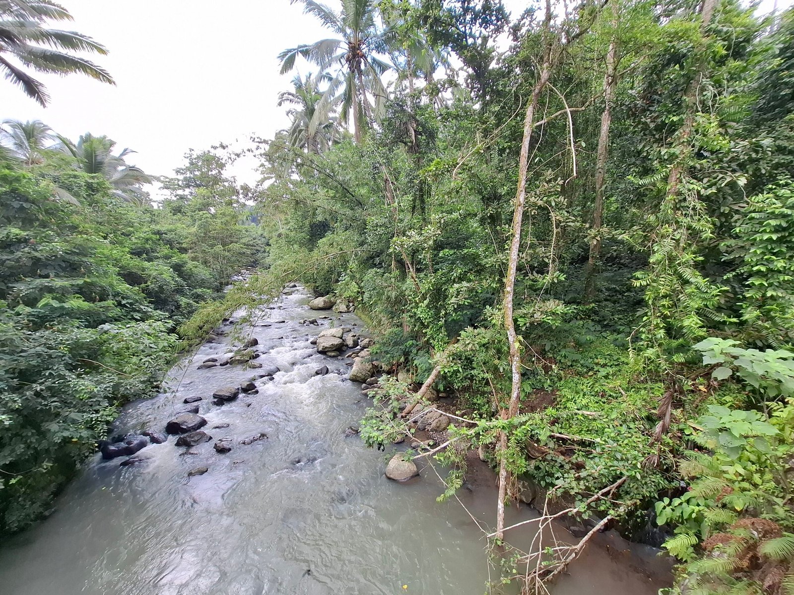 Dijual tanah kebun luasan kecil los sungai di penebel