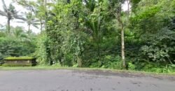 Dijual tanah kebun luasan kecil los sungai di penebel