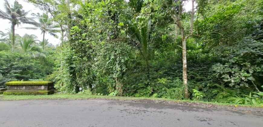 Dijual tanah kebun luasan kecil los sungai di penebel