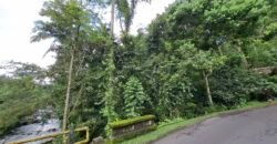 Dijual tanah kebun luasan kecil los sungai di penebel