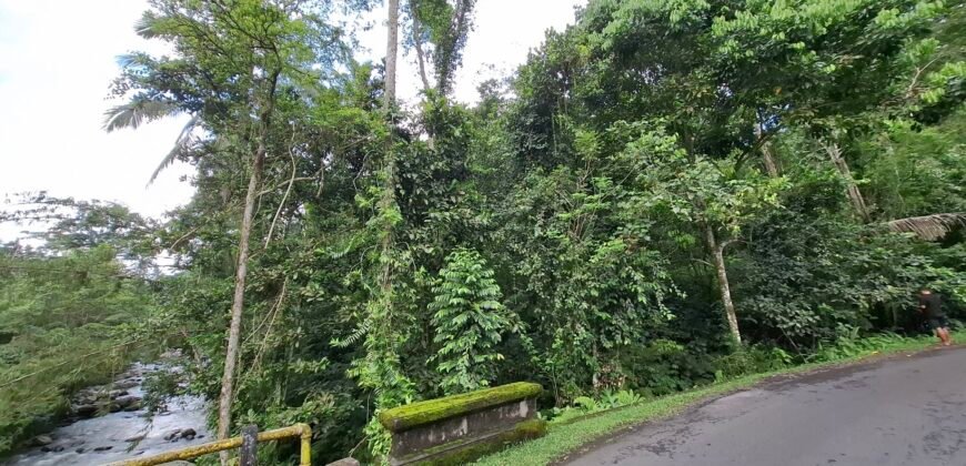 Dijual tanah kebun luasan kecil los sungai di penebel