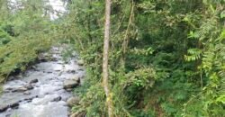 Dijual tanah kebun luasan kecil los sungai di penebel