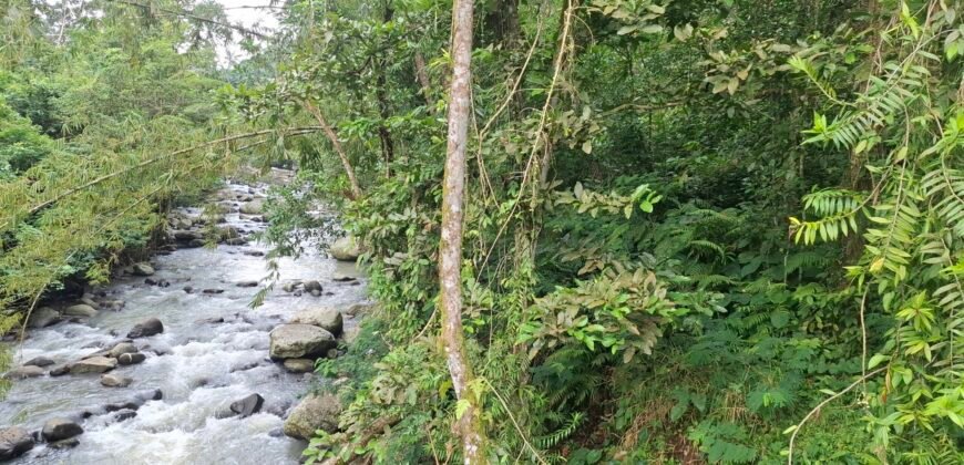 Dijual tanah kebun luasan kecil los sungai di penebel
