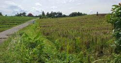 Dijual tanah 500m² zona pink dekat pantai