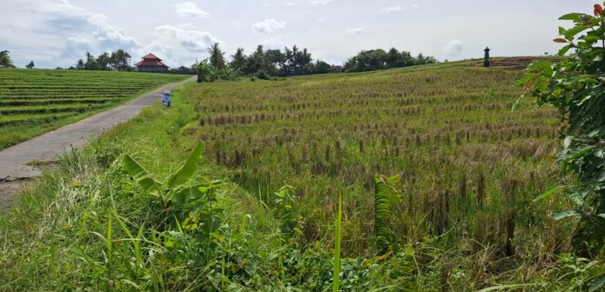 Dijual tanah 500m² zona pink dekat pantai