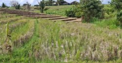 Dijual tanah 500m² zona pink dekat pantai