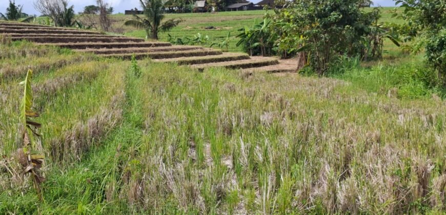 Dijual tanah 500m² zona pink dekat pantai