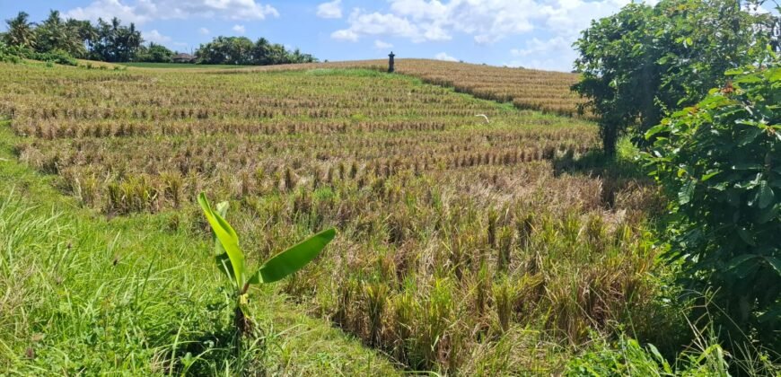 Dijual tanah 500m² zona pink dekat pantai