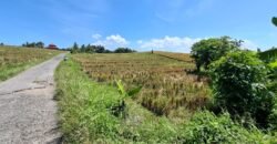 Dijual tanah 500m² zona pink dekat pantai