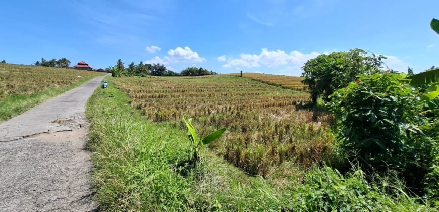 Dijual tanah 500m² zona pink dekat pantai