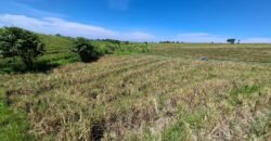 Dijual tanah 500m² zona pink dekat pantai