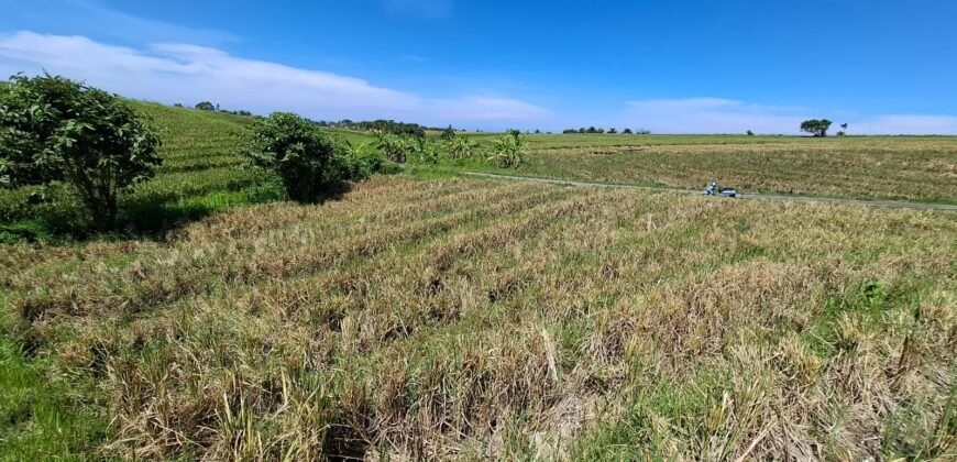 Dijual tanah 500m² zona pink dekat pantai
