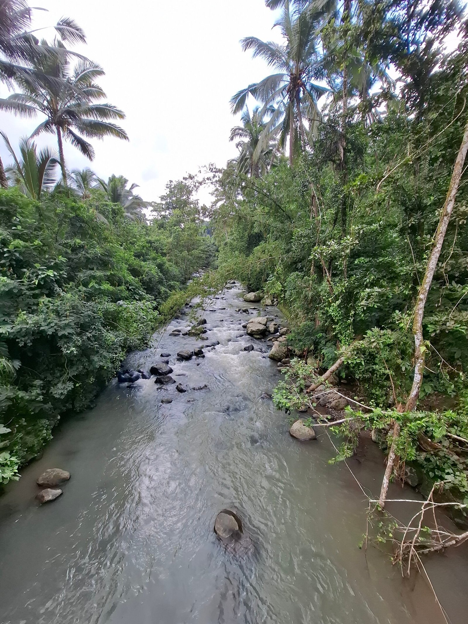 Dijual tanah kebun los sungai luasan kecil di daerah pariwisata