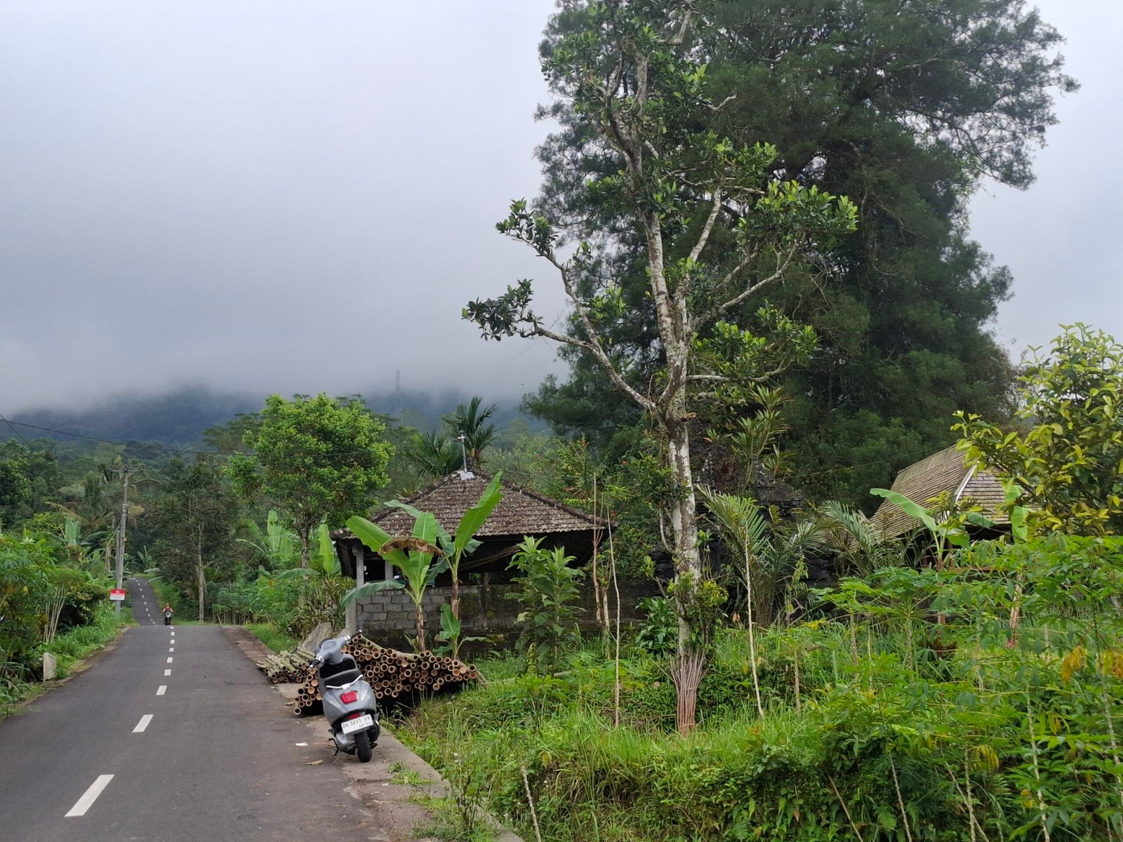 Dijual tanah kebun view gunung dan laut bali selatan