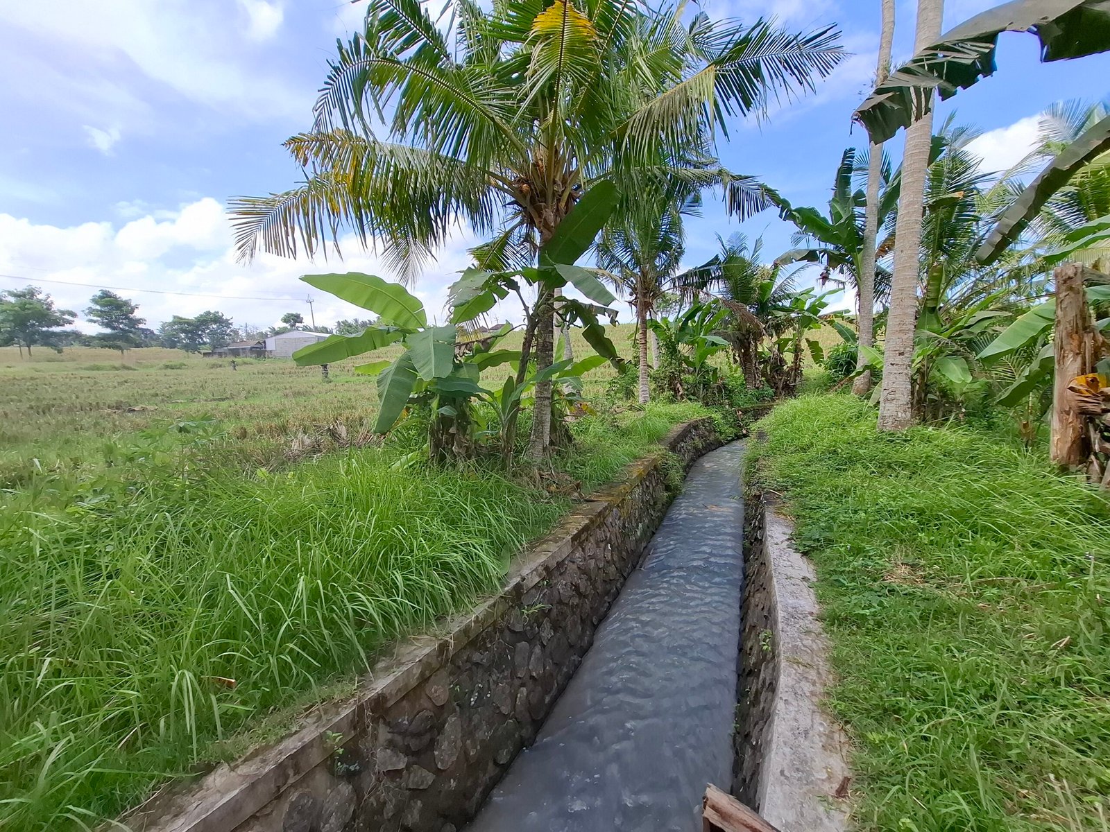 Dijual tanah kebun view sawah dekat pantai pariwista di selemadeg tabanan