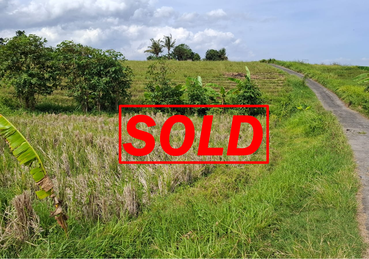 Dijual tanah 500m² zona pink dekat pantai