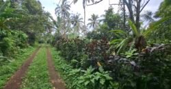 Dijual tanah kebun los sungai view gunung dan sawah