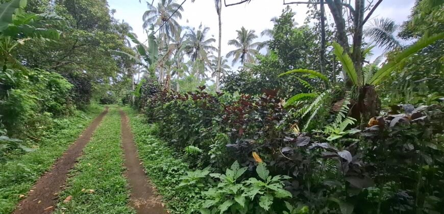 Dijual tanah kebun los sungai view gunung dan sawah