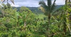Dijual tanah kebun los sungai view gunung dan sawah