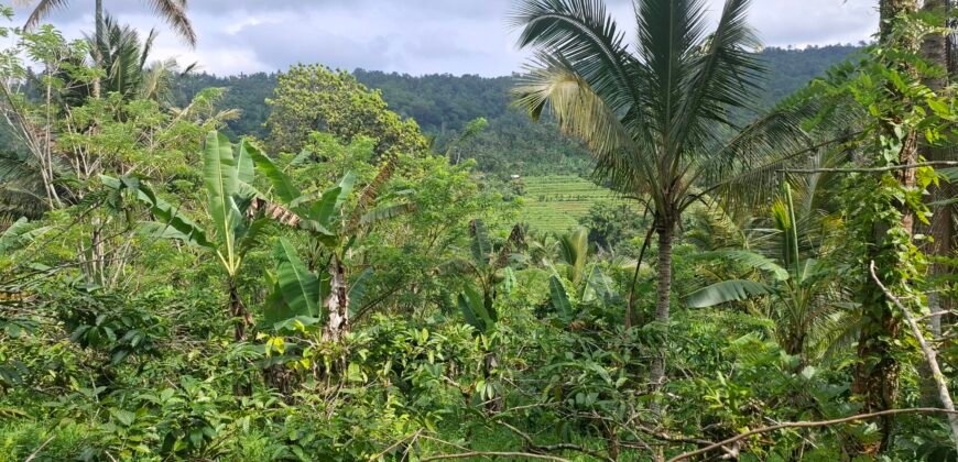 Dijual tanah kebun los sungai view gunung dan sawah