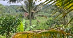 Dijual tanah kebun los sungai view gunung dan sawah