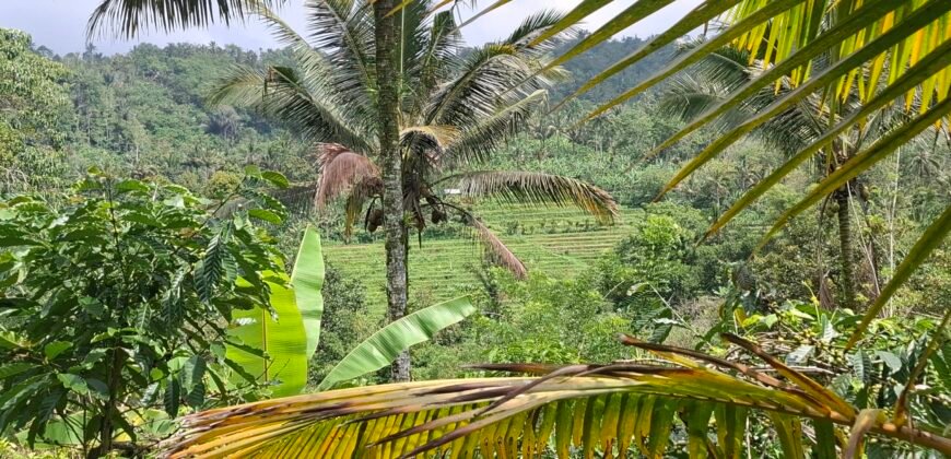Dijual tanah kebun los sungai view gunung dan sawah