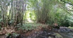Dijual tanah kebun los sungai view gunung dan sawah