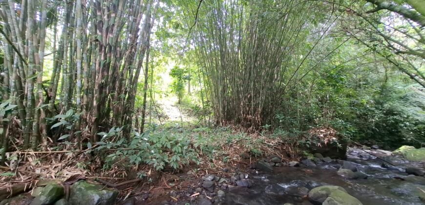 Dijual tanah kebun los sungai view gunung dan sawah