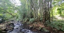 Dijual tanah kebun los sungai view gunung dan sawah