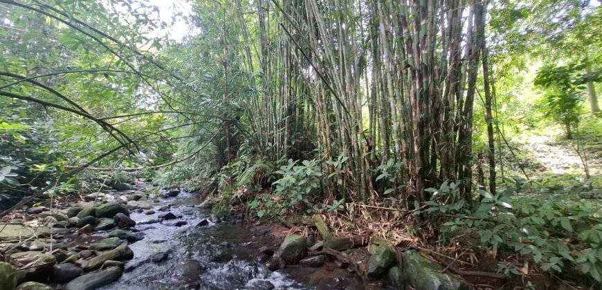 Dijual tanah kebun los sungai view gunung dan sawah