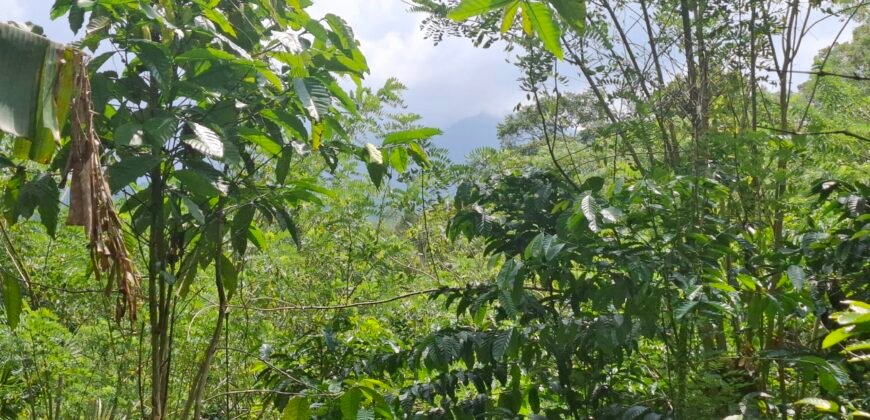 Dijual tanah kebun los sungai view gunung dan sawah