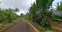 Dijual tanah kebun ketinggian 895 mdpl mendapatkan view gunung
