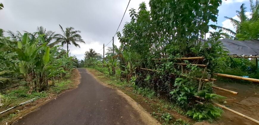 Dijual tanah kebun ketinggian 895 mdpl mendapatkan view gunung