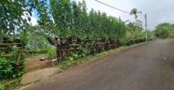 Dijual tanah kebun ketinggian 895 mdpl mendapatkan view gunung
